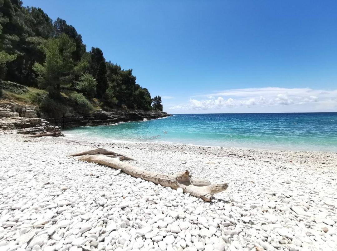 Pearl Apartment Pula Bagian luar foto